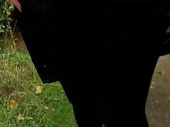 Viejo y joven: Pareja disfruta del sexo caliente